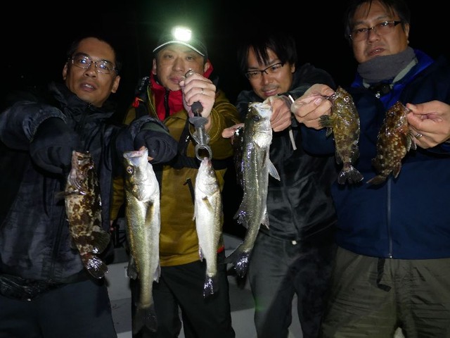 名古屋港　シーバス　根魚