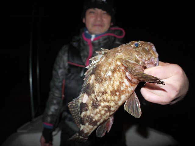 根魚　#2
