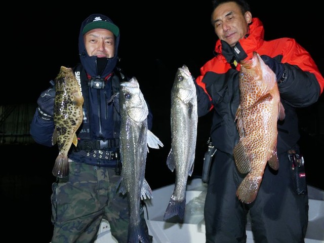 名古屋港 根魚シーバス