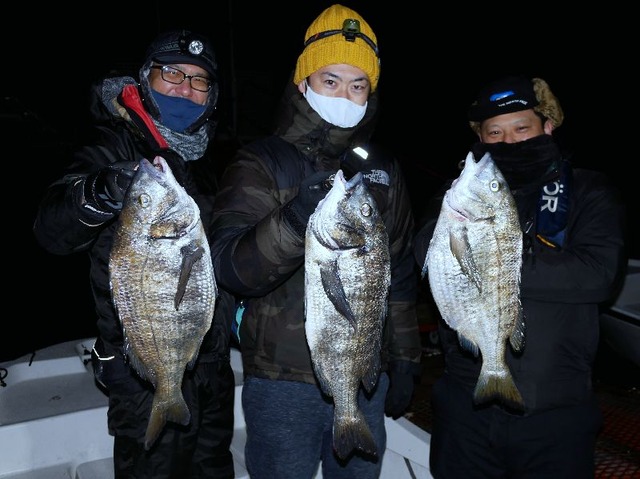 名古屋港　根魚　クロダイ