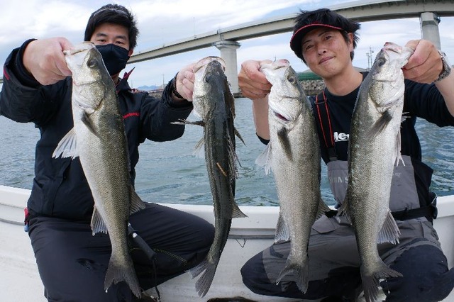 名古屋港　シーバス