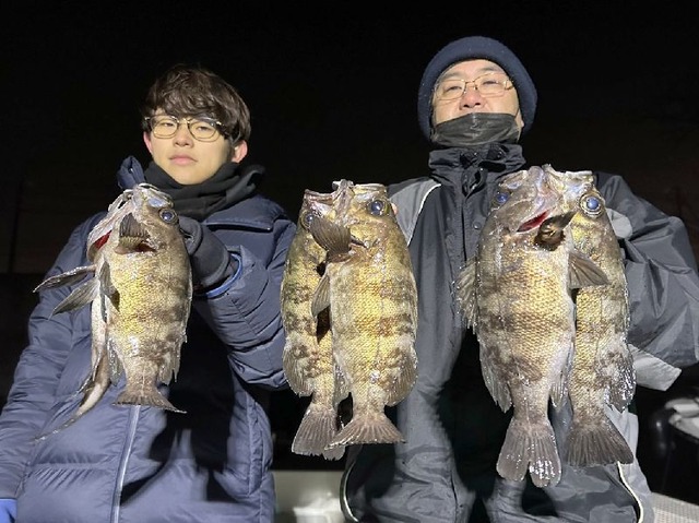 名古屋港 メバル