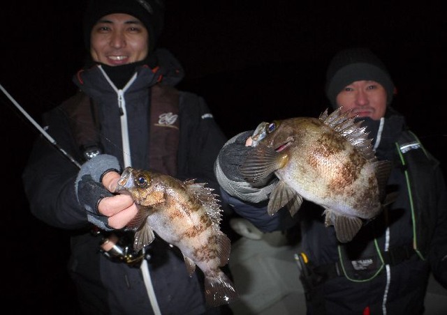 名古屋港　メバル