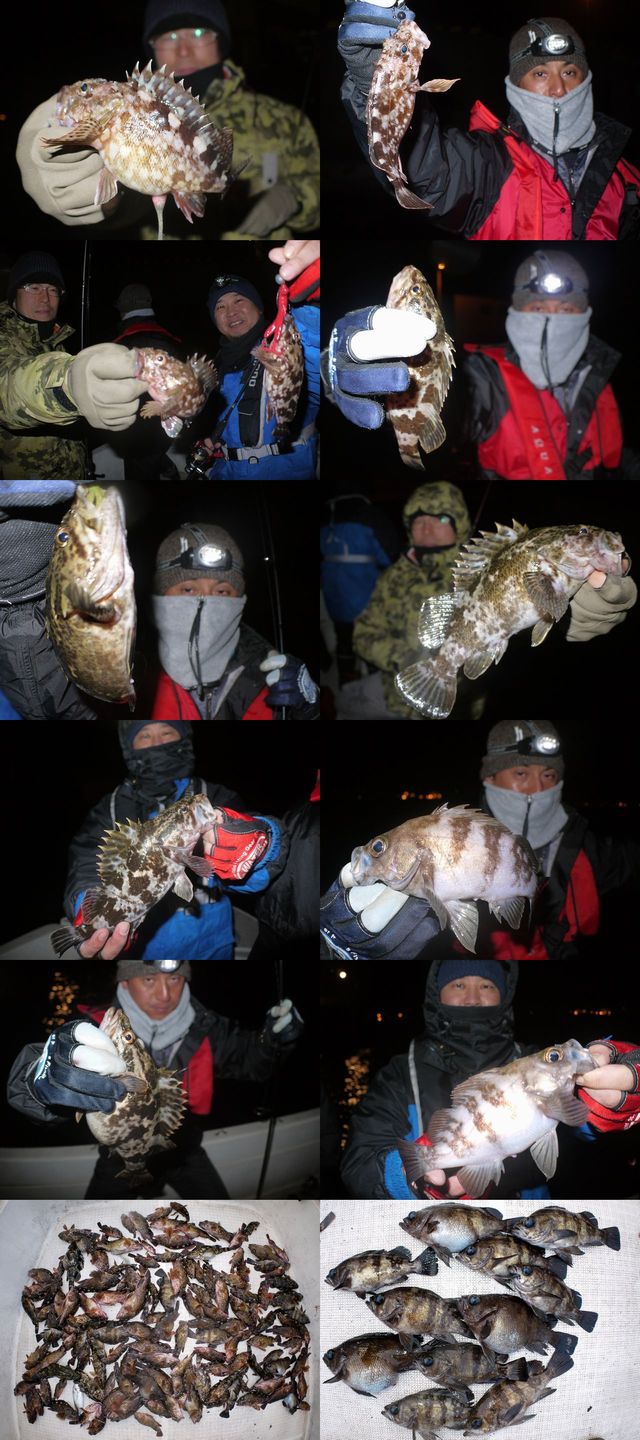 根魚　釣果写真