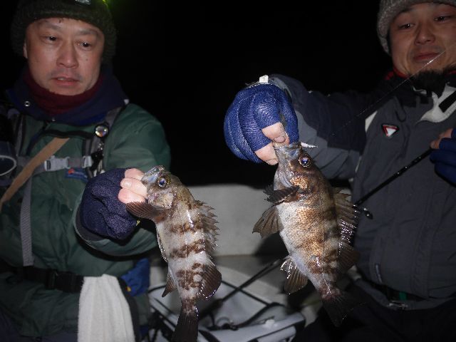 メバル　ダブルヒット