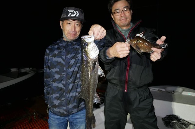名古屋港　シーバス　メバル　根魚