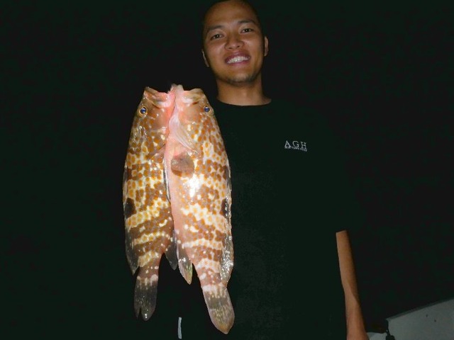 名古屋港キジハタ