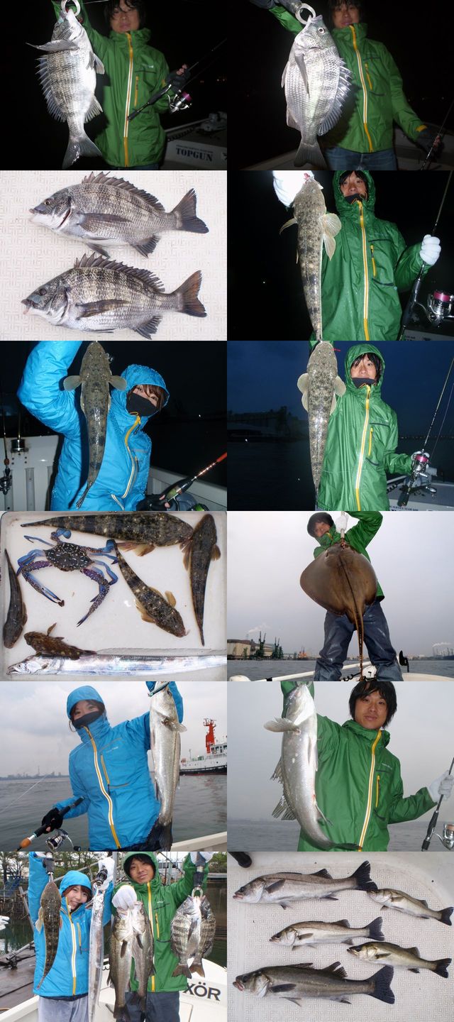 クロダイ＆マゴチ＆シーバス　釣果写真