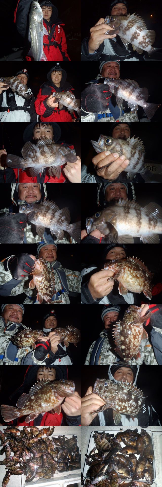 メバル　根魚　釣果写真