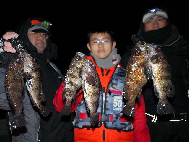 名古屋港 メバル