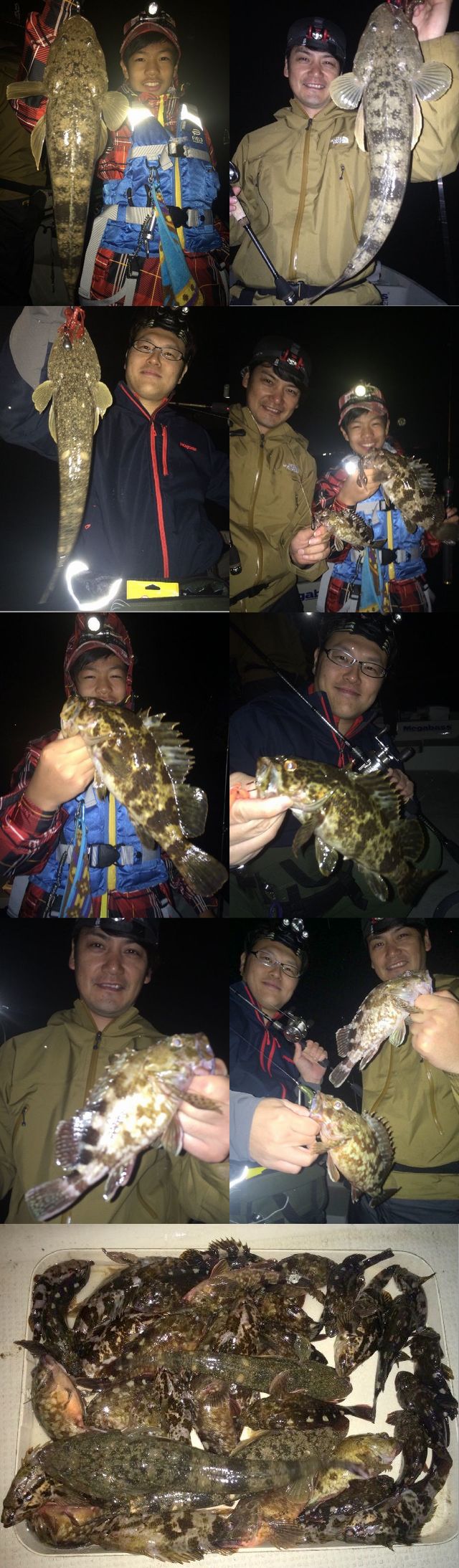 マゴチ&根魚 釣果写真