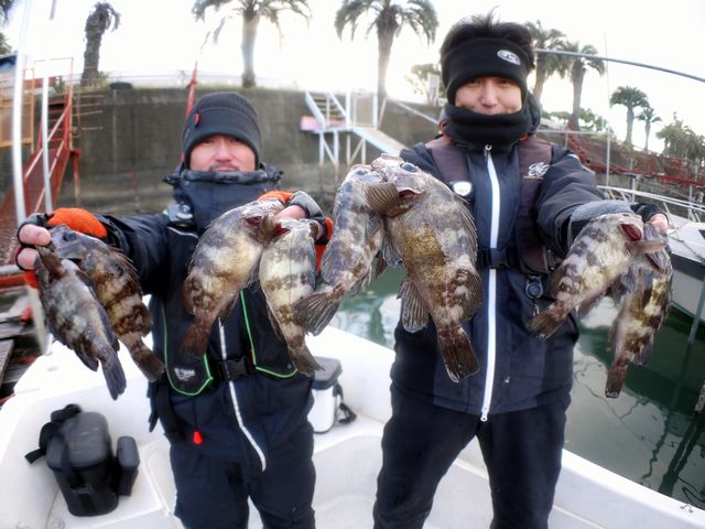 名古屋港　メバル