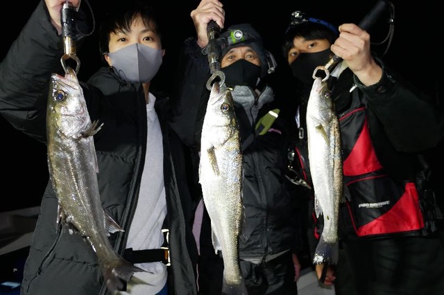 名古屋港 シーバス根魚
