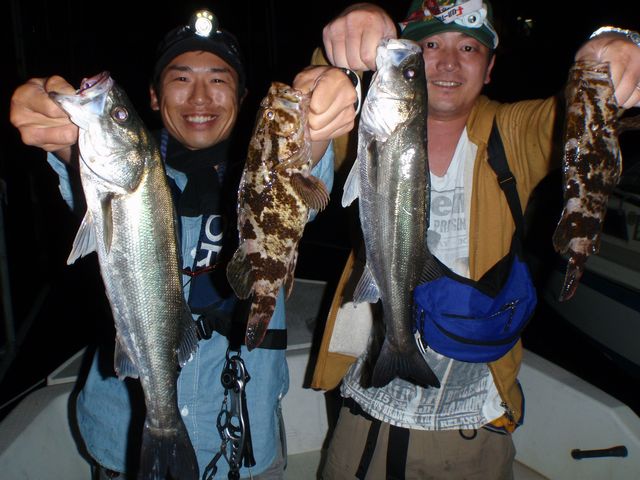 名古屋港　マダコ　根魚　シーバス