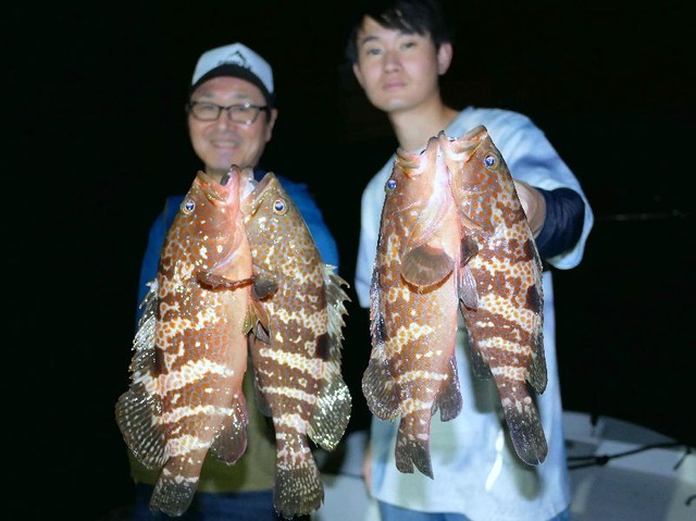 名古屋港キジハタ