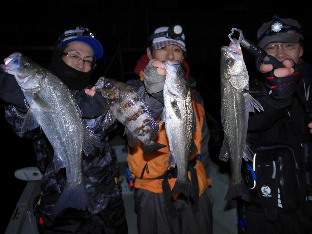 名古屋港　シーバス