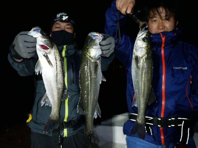 名古屋港　シーバス　メバル　根魚