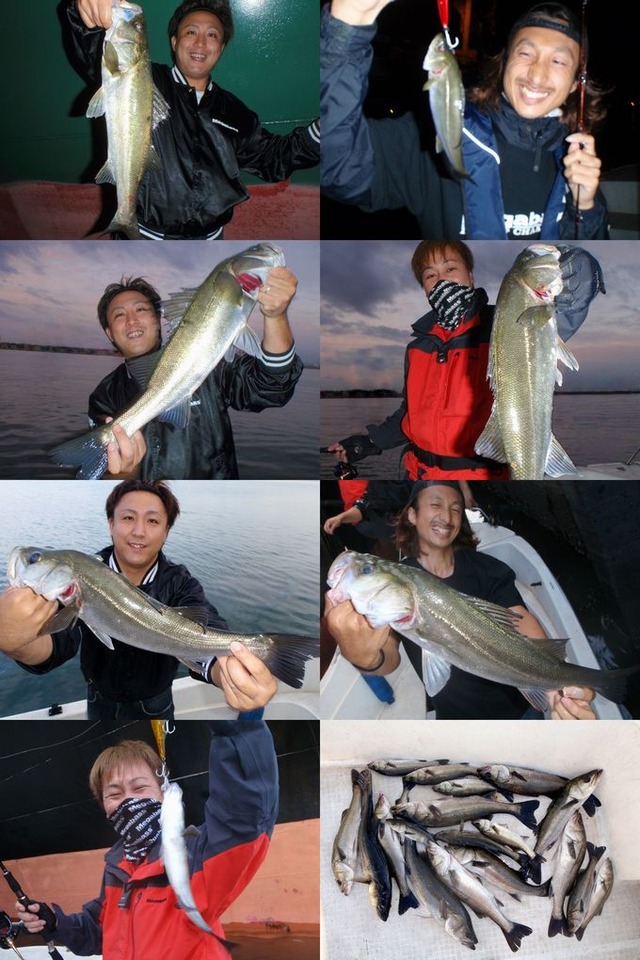 シーバス 釣果写真