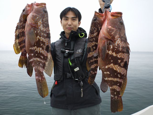 名古屋港　でっか　キジハタ