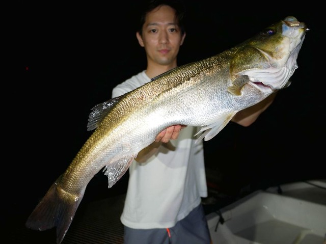 シーバス67㎝