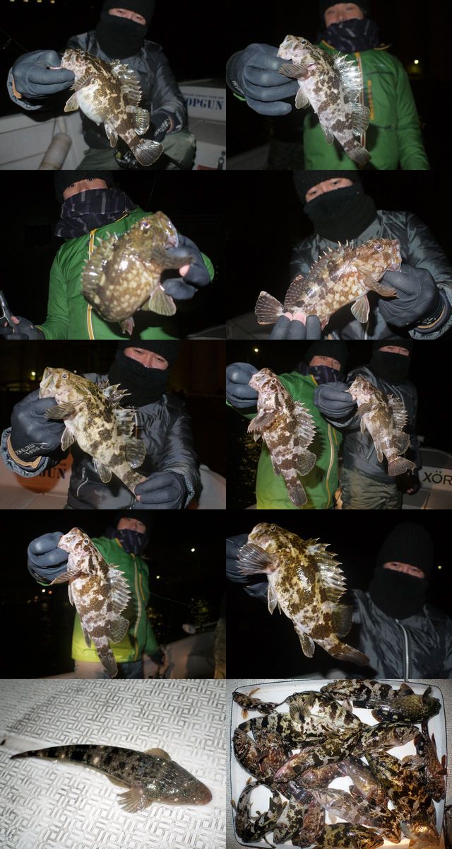 根魚　釣果写真