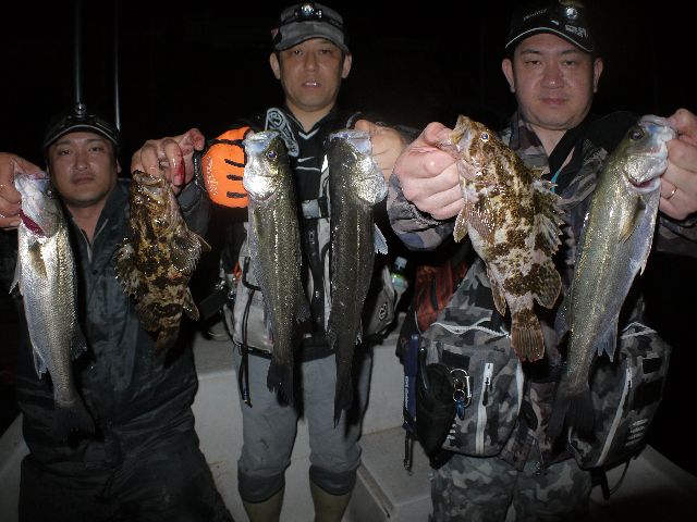 名古屋港　シーバス　根魚