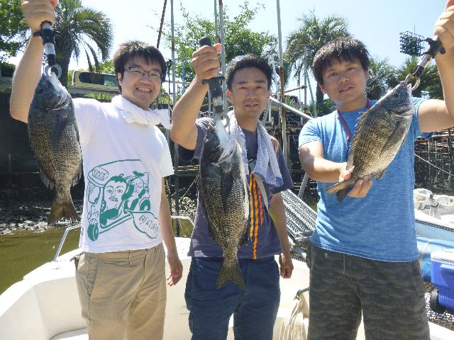 名古屋港　クロダイ