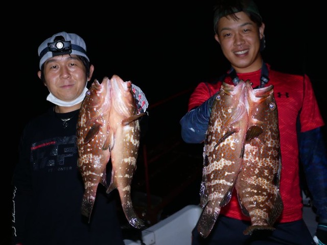 名古屋港キジハタ