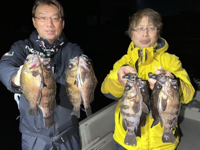 名古屋港メバル