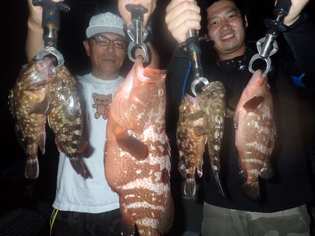 名古屋港　キジハタ　カサゴ