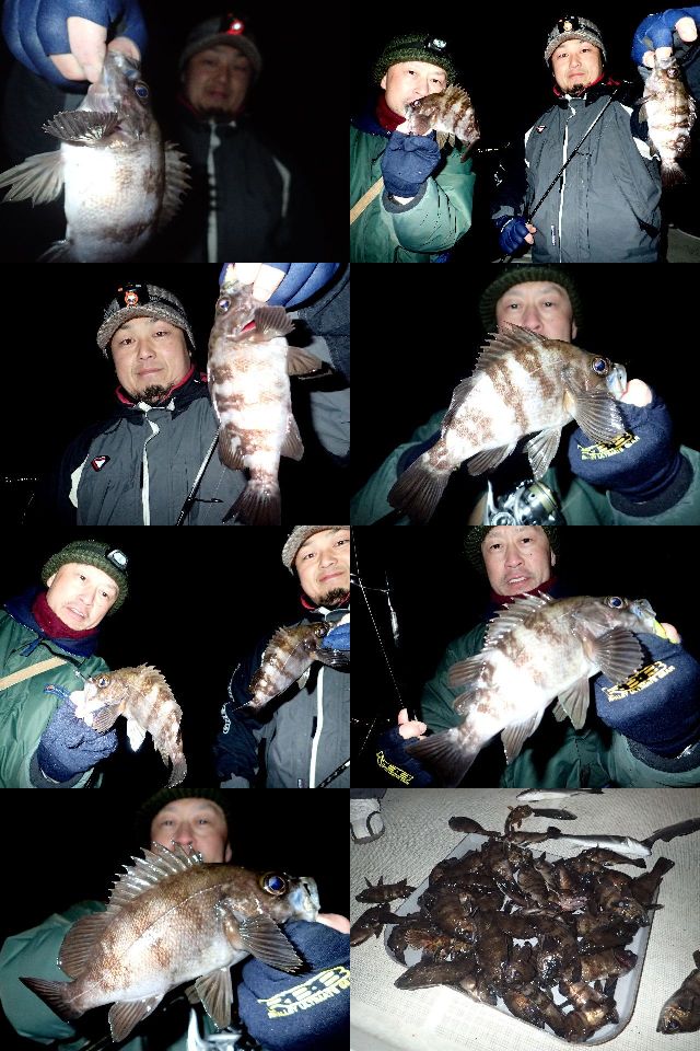 メバル　釣果写真