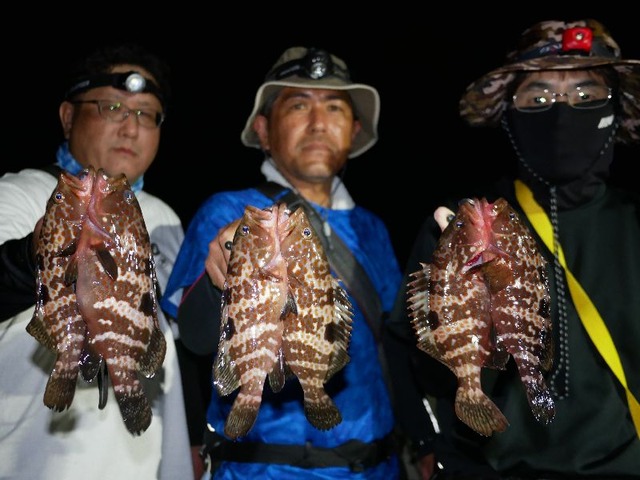 名古屋港　キジハタ　根魚