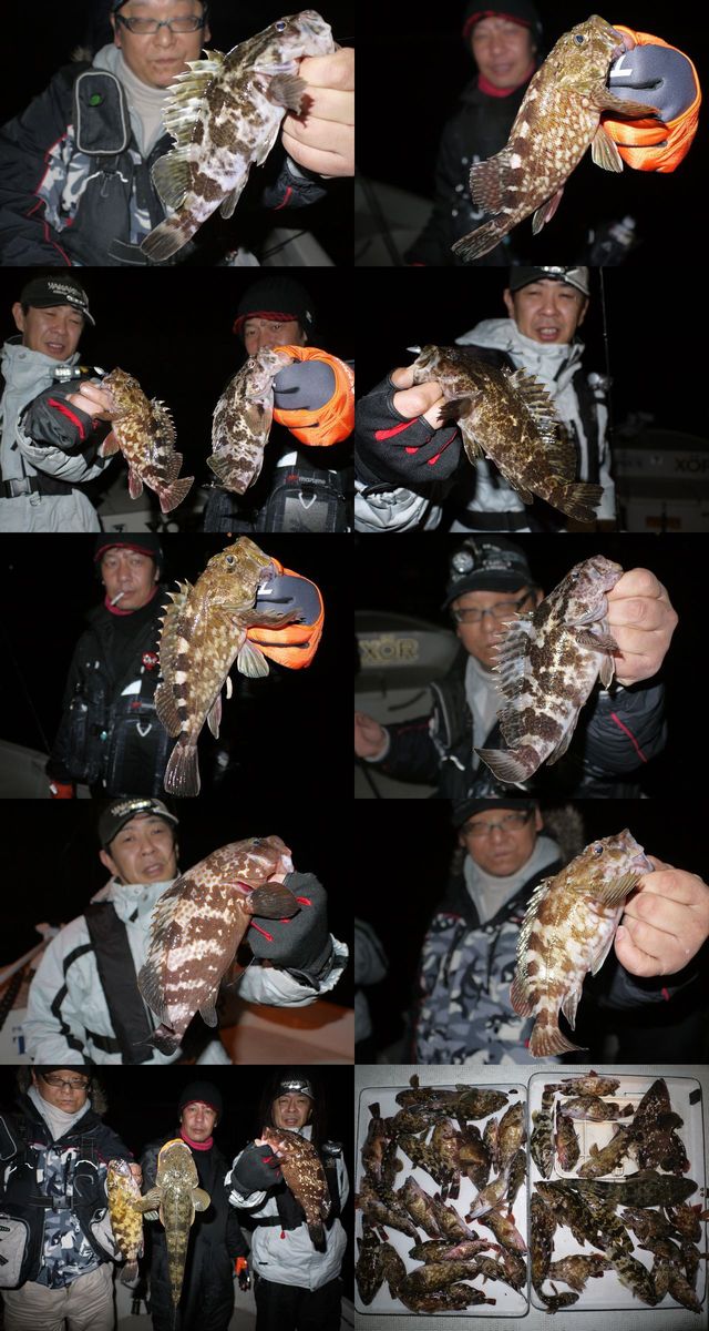 ロックフィッシュ　釣果写真