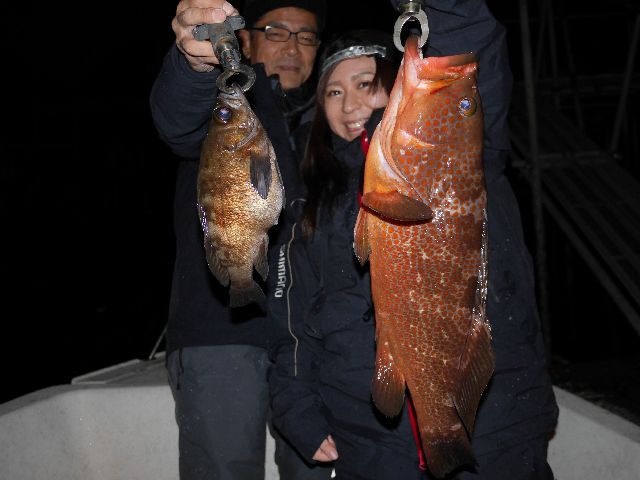 名古屋港　キジハタ＆メバル＆根魚