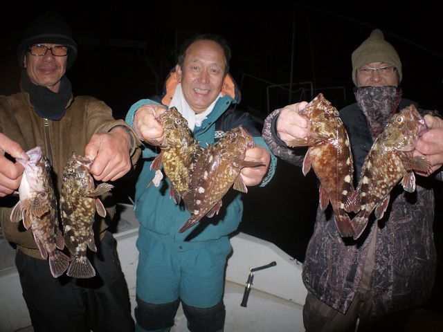 名古屋港　根魚