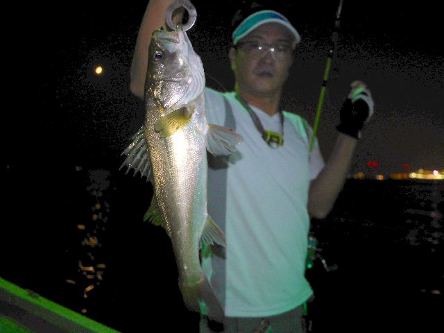 名古屋港　シーバス　#3