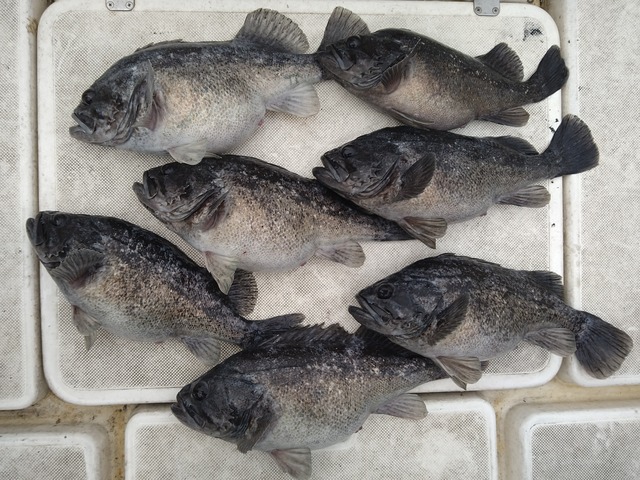 IMG_20230201_160756_1