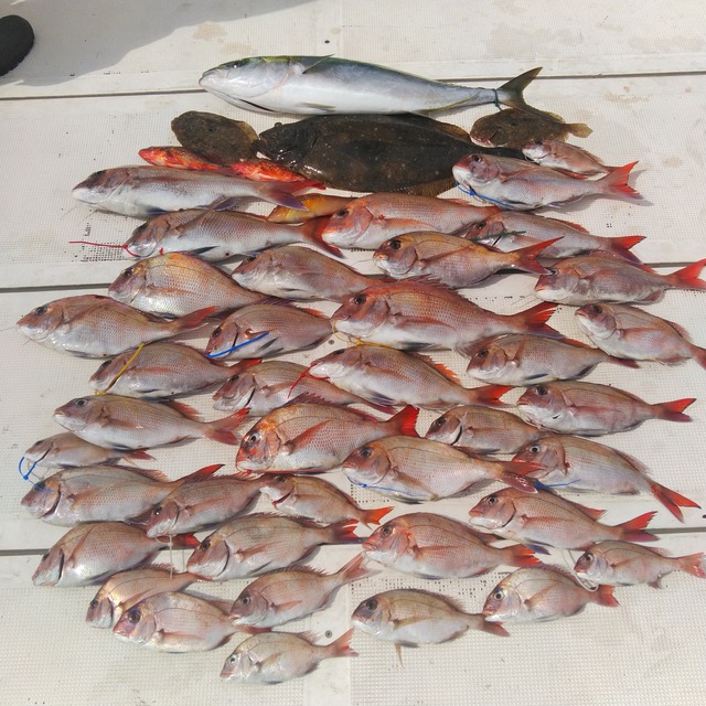 KIMG1638_01_BURST1001638_COVER