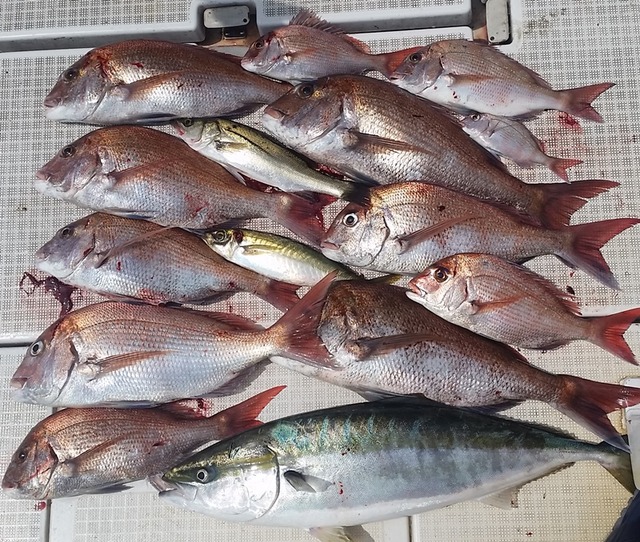 20160811_101501 - コピー