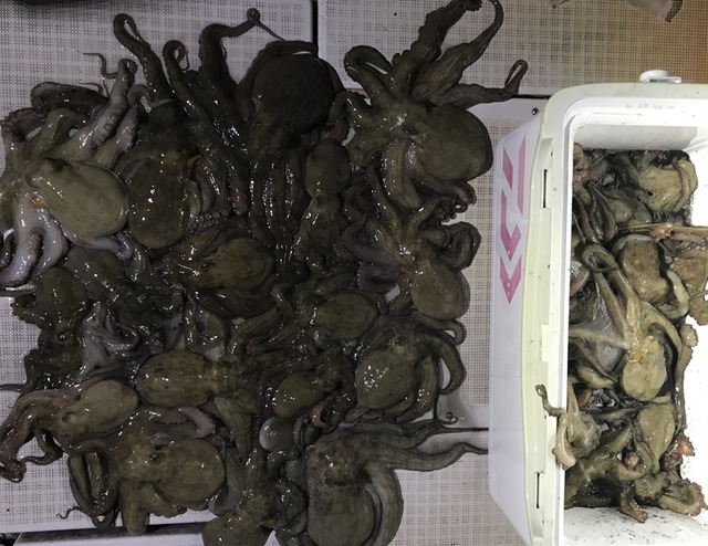 IMG_9479 - コピー