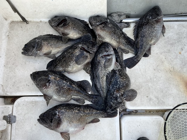 7F379267-858C-4114-A4EF-53FCEB802F0F