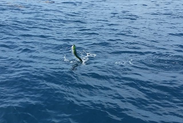 20160702_123323