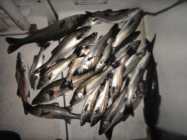 DSC05773