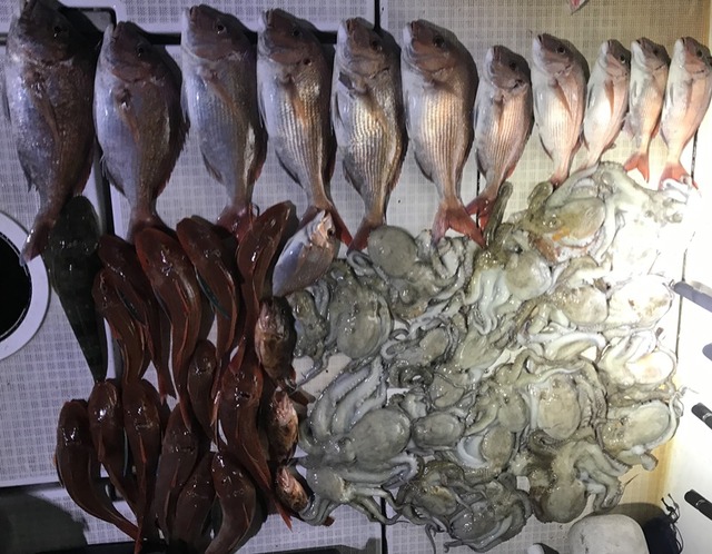 IMG_9427 - コピー