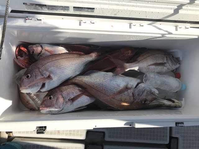 744934E1-0129-4E23-83EF-29AA7DD507E3