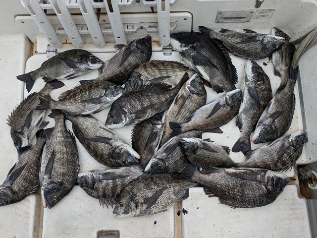 PXL_20240622_081204775_1