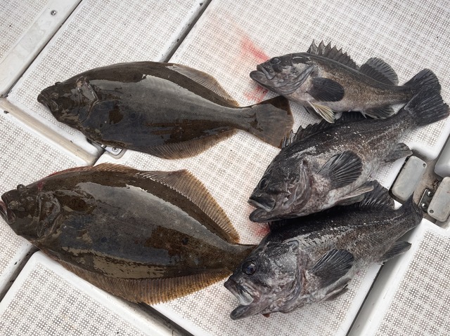 FAB09E11-D25C-45A5-869A-4EBFF7461866