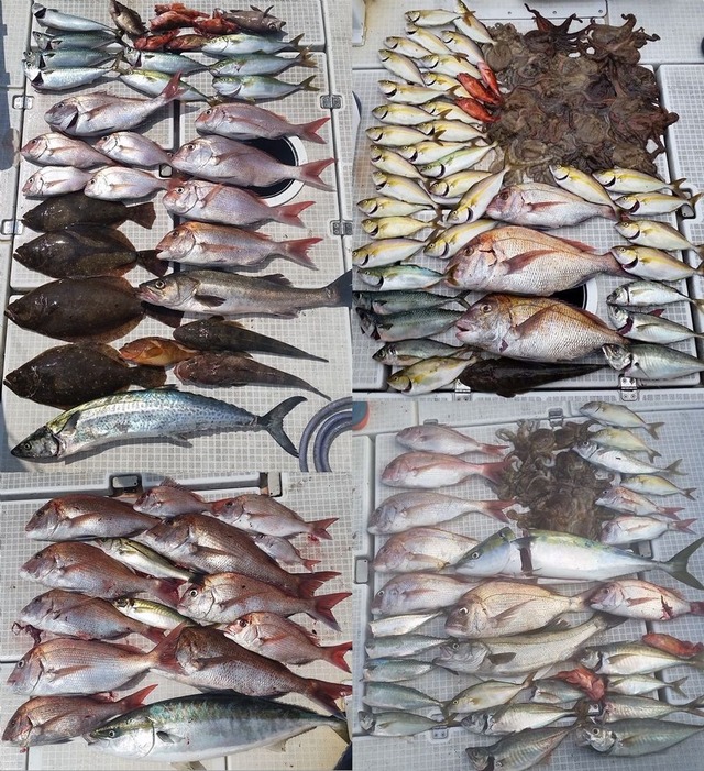 20160807_133739 - コピー