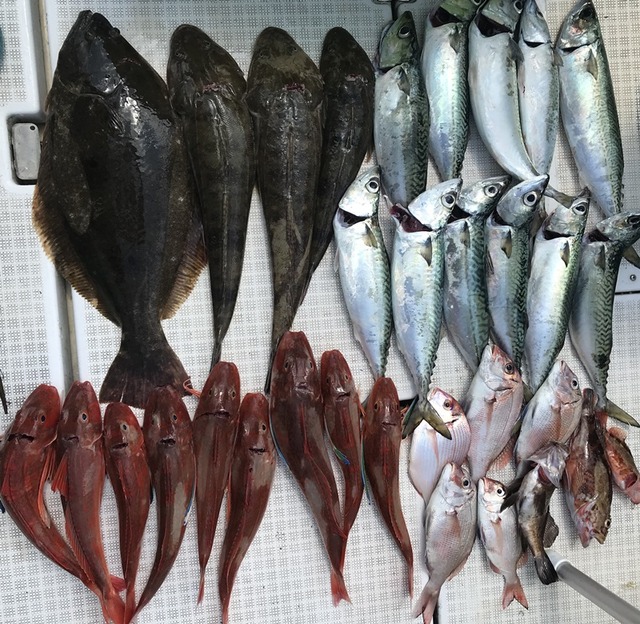 IMG_9476 - コピー