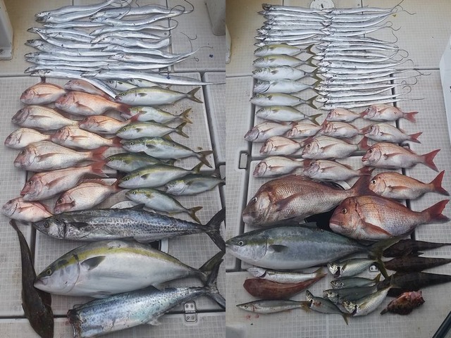 20160917_134726 - コピー